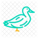 Ente  Symbol