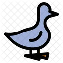 Ente Bauernhof Henne Symbol