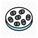 Enterococcus  アイコン
