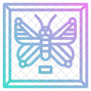 Entomological Photo  Icon