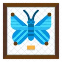 Entomologische Verschiedene Sammlung Icon