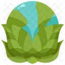 Environment Globe Green Icon