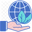 Environment  Icon
