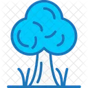 Environment  Icon