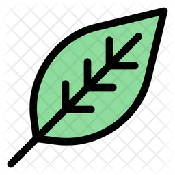 Environment  Icon