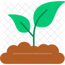 Environment Growing Nature Icon