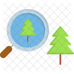 Environment  Icon