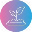 Environment Growing Nature Icon