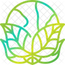 Environment Globe Green Icon