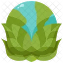 Environment Globe Green Icon