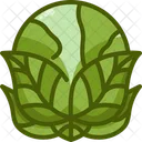 Environment Globe Green Icon