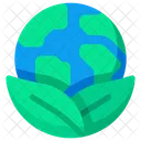 Environment Nature Earth Icon