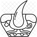 Epidermis  Icon