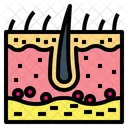 Epidermis  Icon