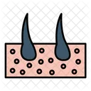 Skin Dermatology Hair Icon