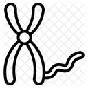 Epigenetics  Icon