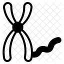 Epigenetics Icon
