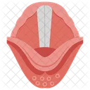 Epiglottis Inside Throat Laryngeal Cavity Icon