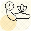 Epoca De Colheita De Vegetais Vegetal Colheita Icon