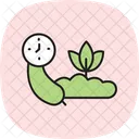 Epoca De Colheita De Vegetais Icon