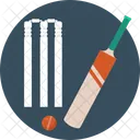 Kit Cricket Equipo Icono