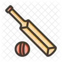 Cricket Kit Deportes Icono