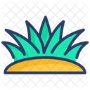 Erba  Icon