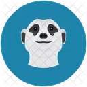 Erdmännchen  Icon