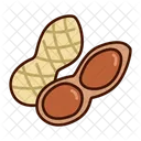 Erdnusse Obst Gesund Symbol