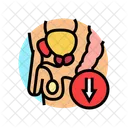 Erectile Dysfunction Urology Icon