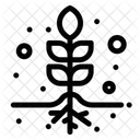 Matraz Conico Experimento Planta Icono