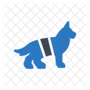 Hund Untersuchung Perro Symbol