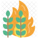 Ernte Feuer  Symbol