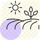 Erntefeld Symbol