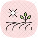 Erntefeld Ernte Feld Symbol