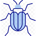 Insecto Bicho Espeluznante Artropodo Icono