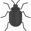 Insecto Bicho Espeluznante Artropodo Icono