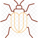 Insecto Bicho Espeluznante Artropodo Icono