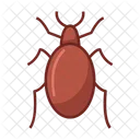 Bicho Insecto Animal Icono