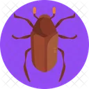 Error De Junio Error Insecto Icono