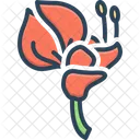 Erythrina Barn Lysistemon Icon