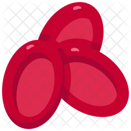 Erythrocytes  Icon