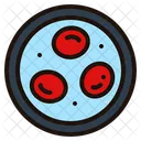 Erythrocytes Cell Blood Cells Icon