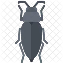 Insecto Escarabajo Error Icon