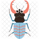 Insecto Escarabajo Ciervo Icono
