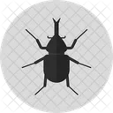 Escarabajo De Cuerno Insecto Bug Icono