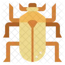 Escarabajo  Symbol