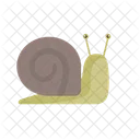 Escargot Animal Coquille Icon