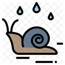 Escargot Humide Humidite Icon