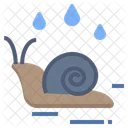 Escargot Humide Humidite Icon